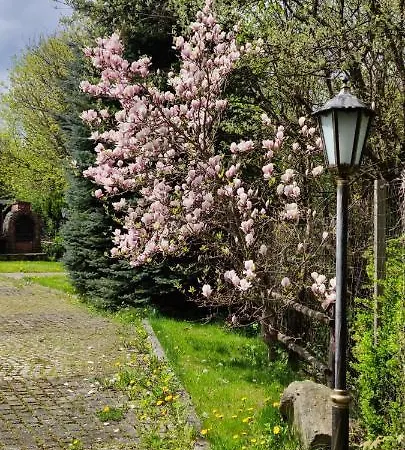 Wpadnij Do Zosi - Przy Wyciagu Séjour à la ferme Stronie Śląskie
