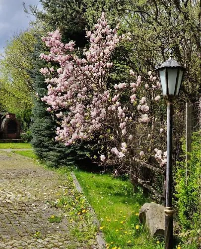 Wpadnij Do Zosi - Przy Wyciagu Farma Stronie Śląskie